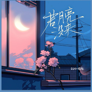 成人免费A片777888
